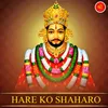 About HARE KO SHAHARO Song